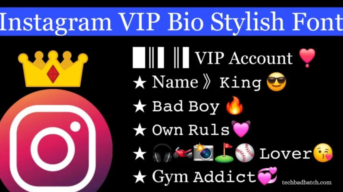 Instagram Bio in Stylish Font