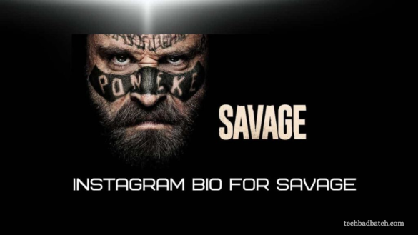 Best Savage bio for Instagram