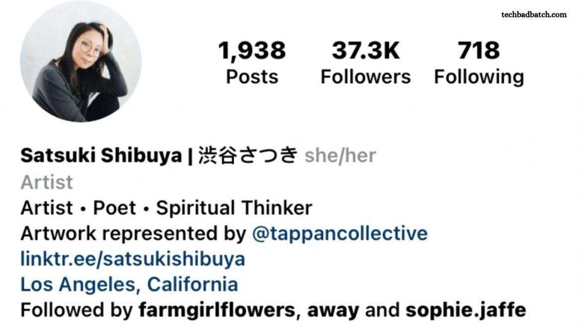 Instagram Bio For Artist