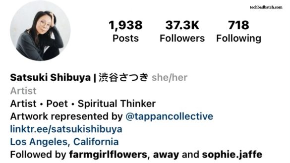 Instagram Bio For Artist