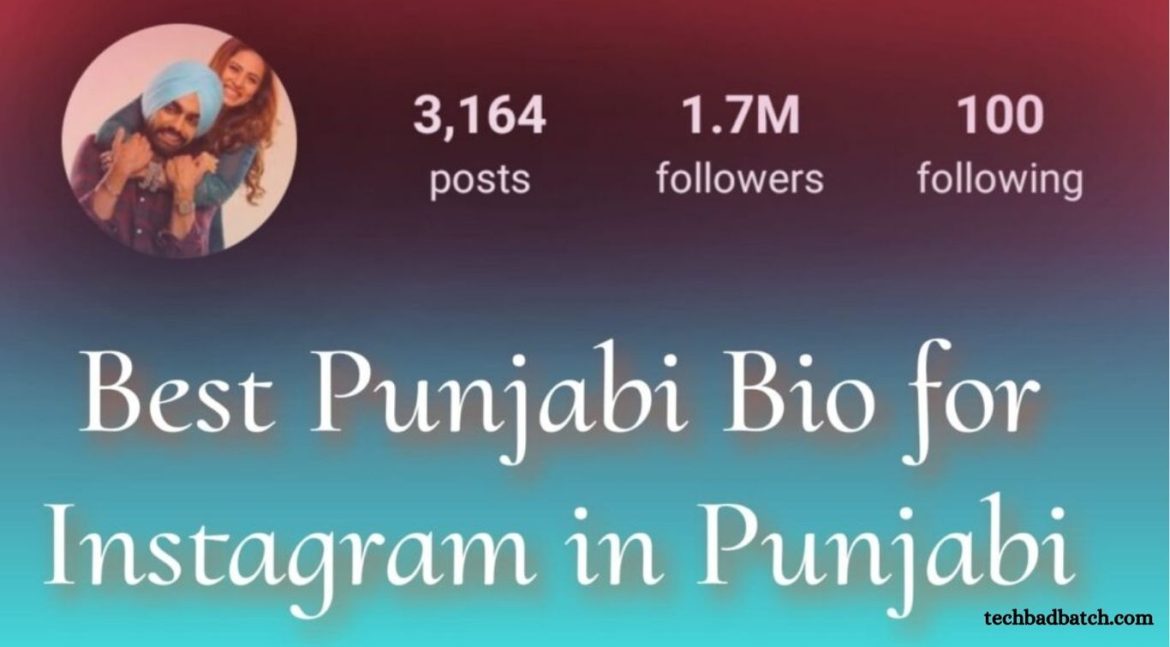 Punjabi Bio for Instagram